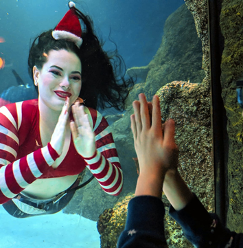 Christmas mermaids at SEA LIFE