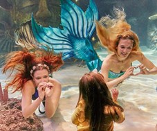Mermaids at SEA LIFE TRAFFORDCITY